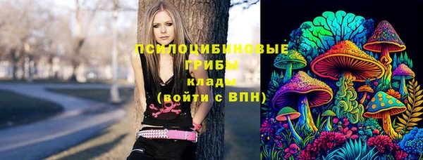 apvp Алексеевка