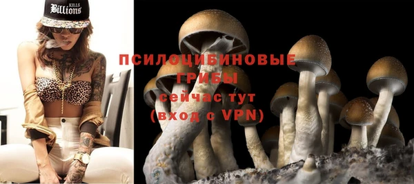 дурь Алексин