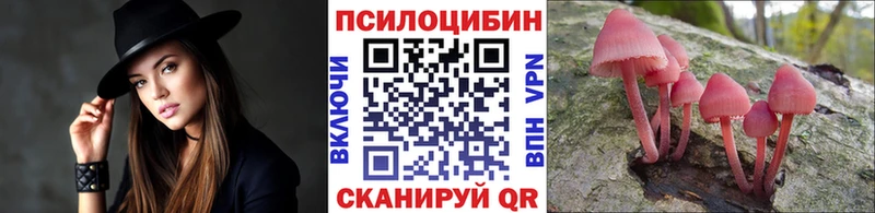 Галлюциногенные грибы MAGIC MUSHROOMS даркнет сайт Черепаново